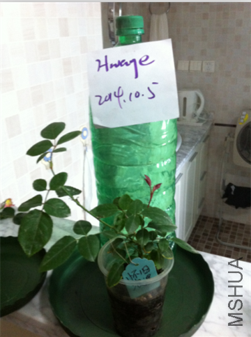 QQ��ͼ20141005154534.png