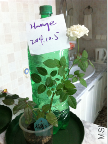QQ��ͼ20141005154601.png