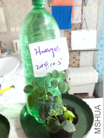 QQ��ͼ20141005154705.png