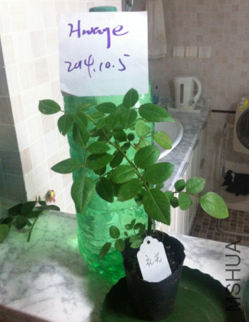 QQ��ͼ20141005162818.png