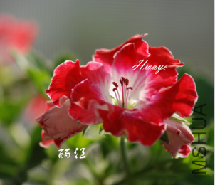 QQ��ͼ20141005175039.png