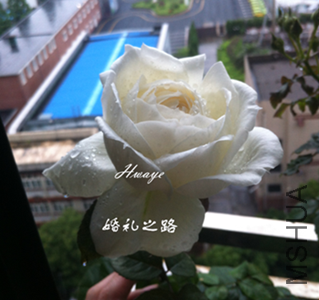 QQ��ͼ20141005165741.png