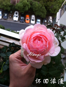 QQ��ͼ20141005162741.png