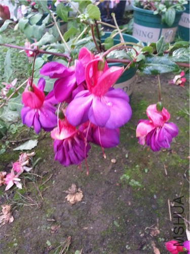 20141005_162812.jpg