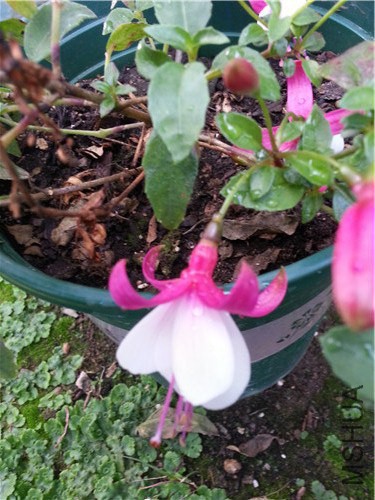 20141005_162823.jpg
