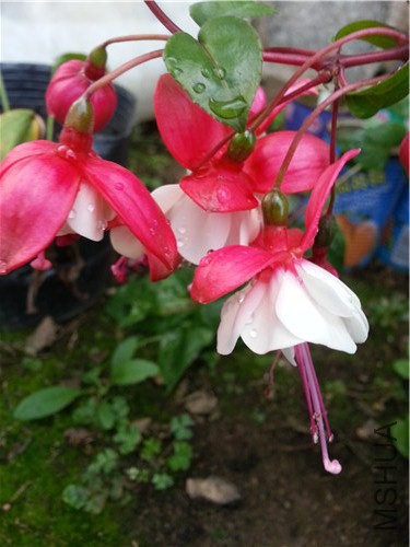 20141005_162855.jpg