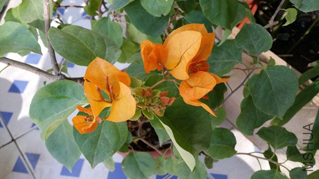 20141006_093557.jpg