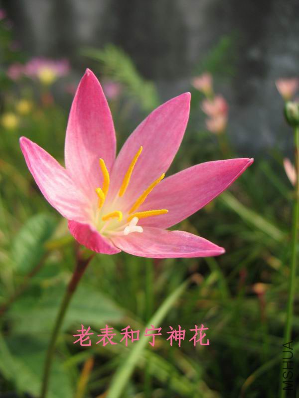 ������С IMG_7994 ����.jpg