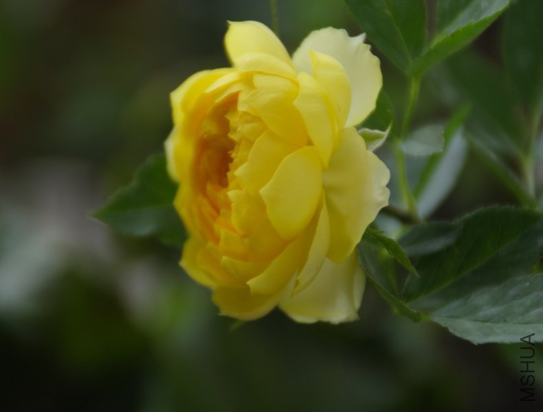DPP_0020.JPG