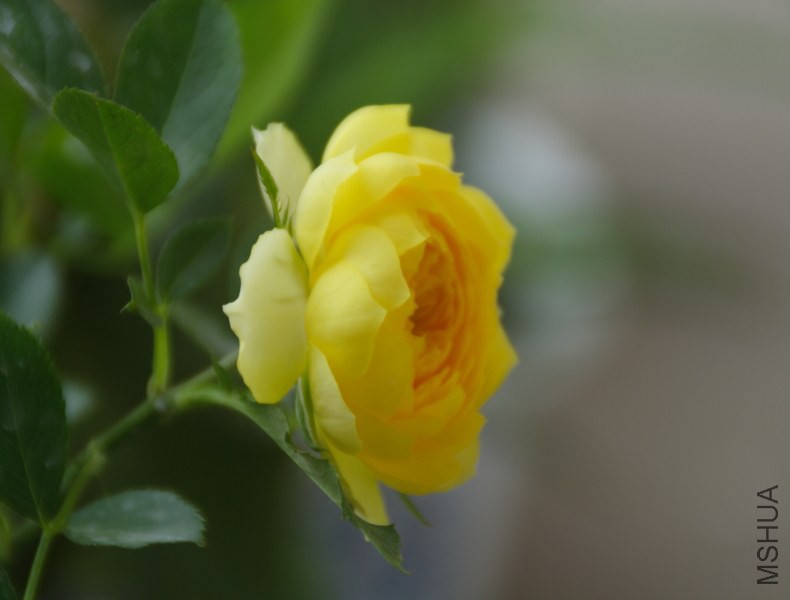 DPP_0021.JPG