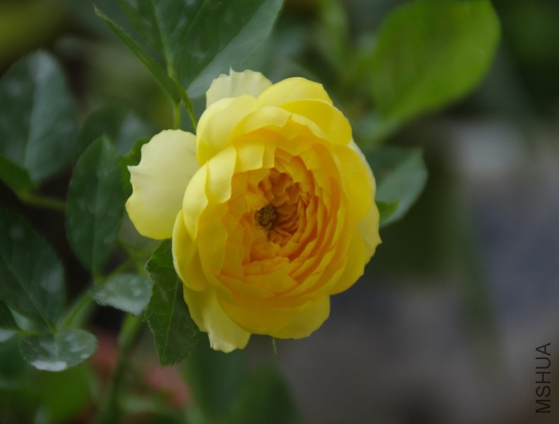 DPP_0022.JPG