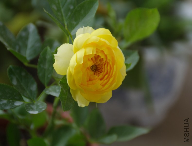 DPP_0023.JPG
