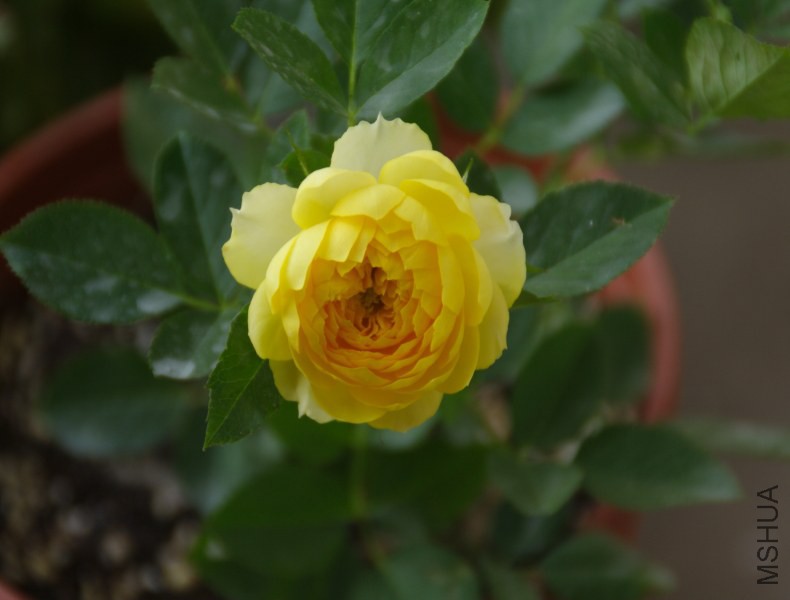 DPP_0025.JPG