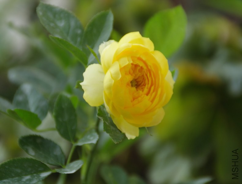 DPP_0028.JPG