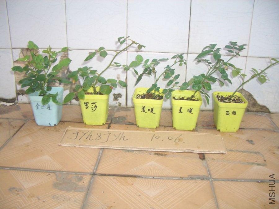 CIMG0345.JPG