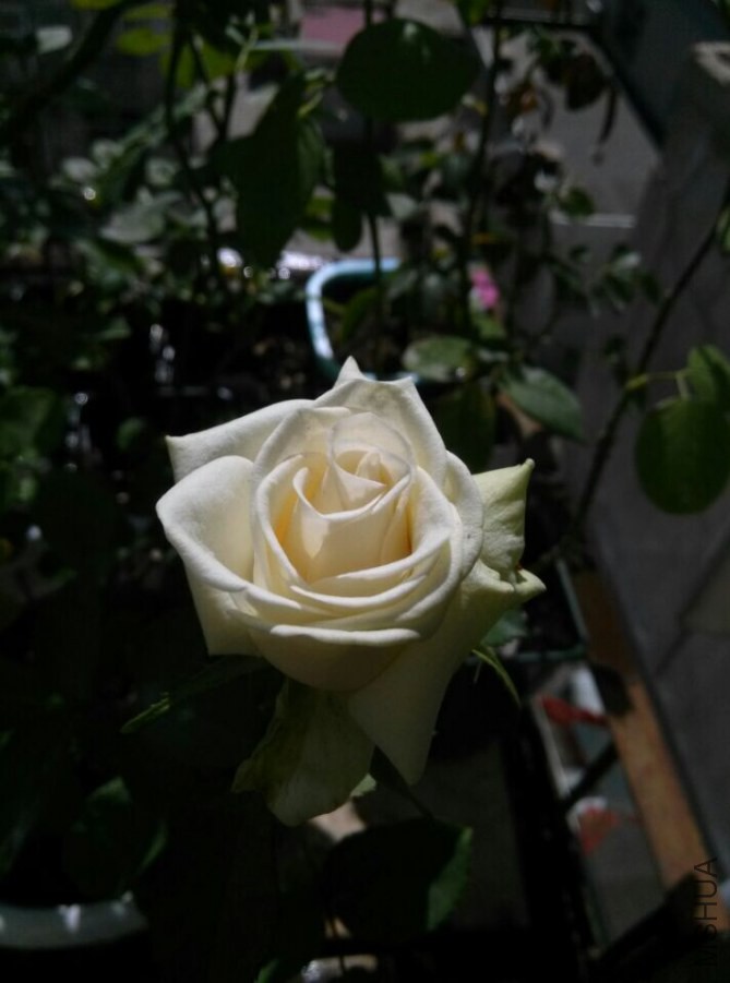 ��Ǩ��2.jpg