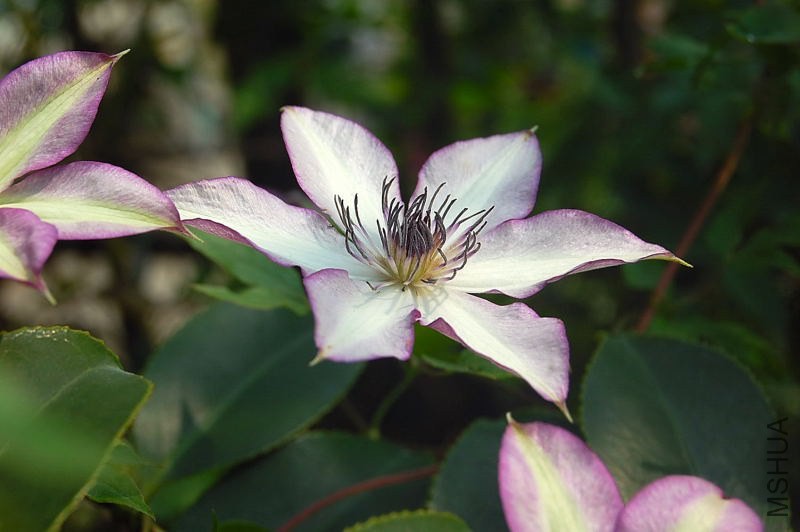 DSC_00090009.JPG