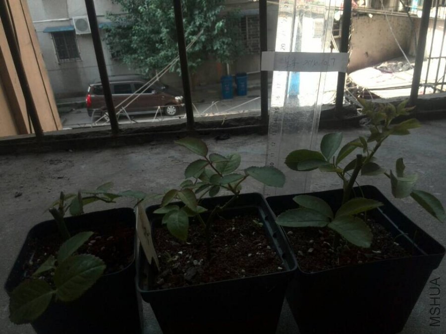 QQͼƬ20141007094021.jpg