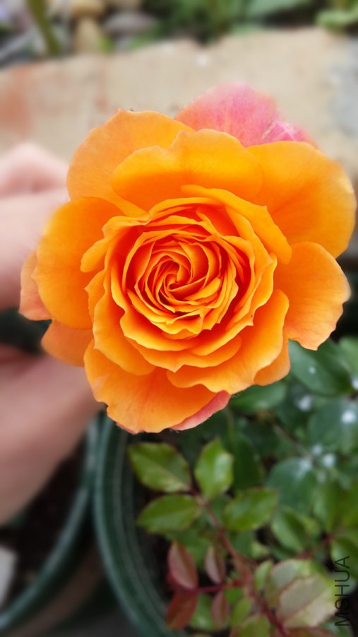20140425_072015_����.jpg