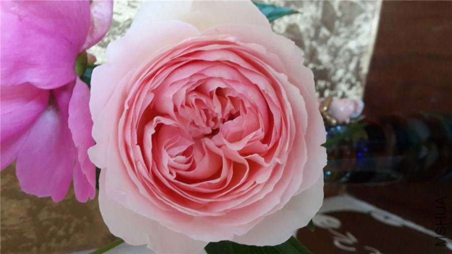 20140502_084120.jpg
