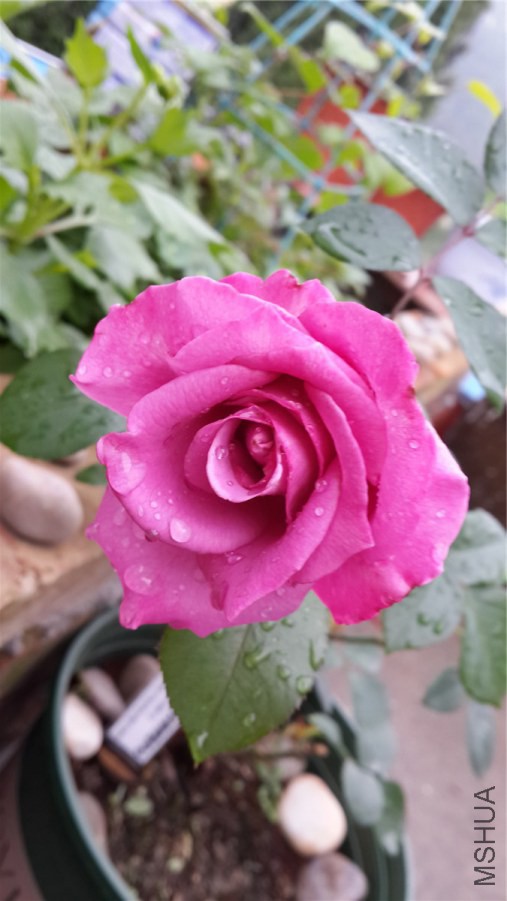 20140517_070012.jpg