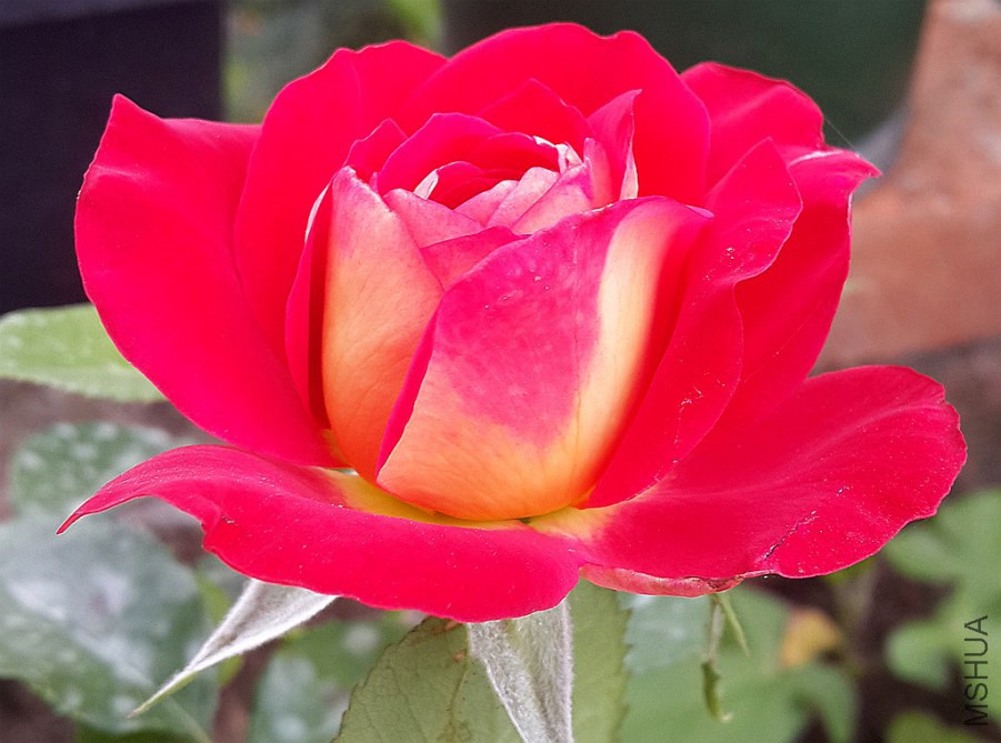 20140531_064006.jpg