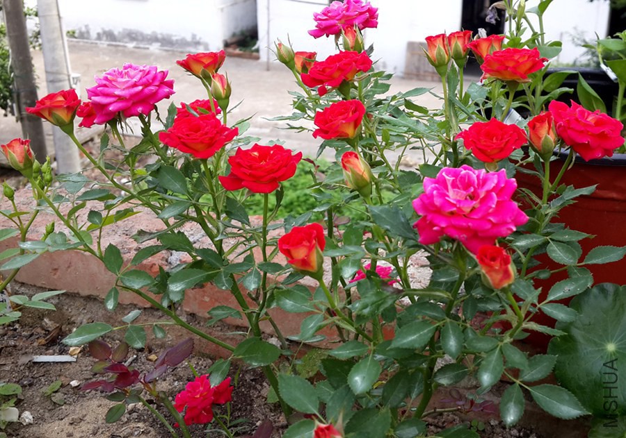 20140611_065424.jpg