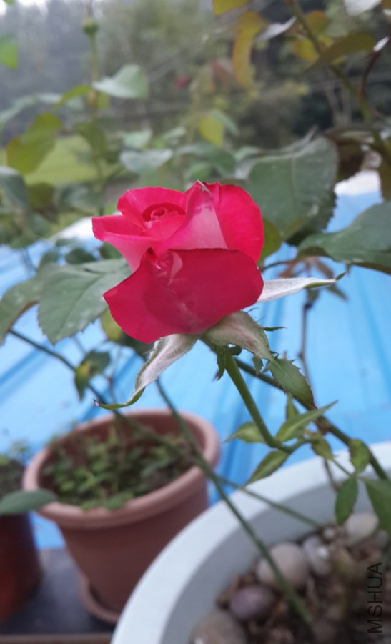 20140927_173318.jpg