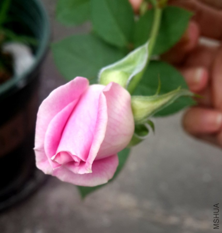 20141006_140312.jpg