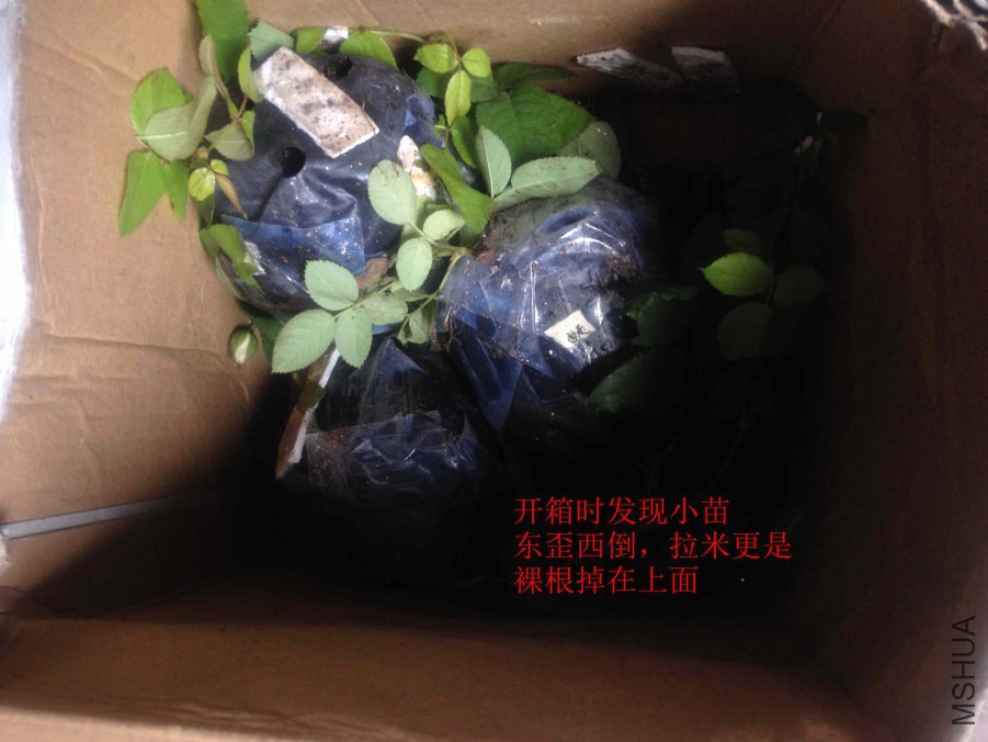 2014-10-07 124037.jpg