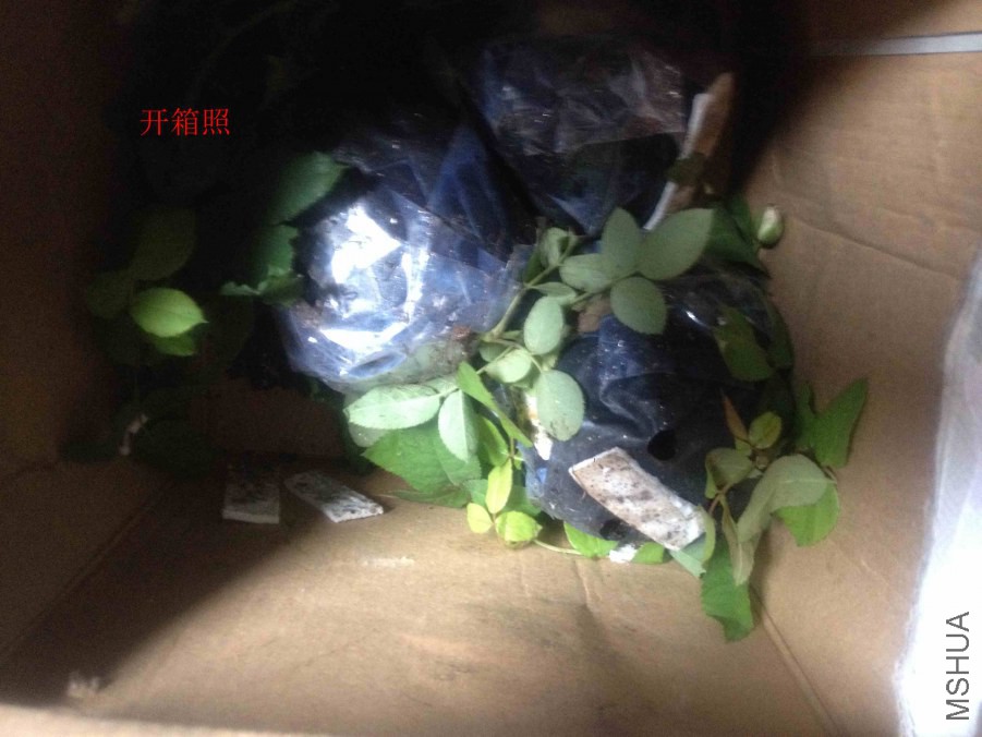 2014-10-07 124050.jpg