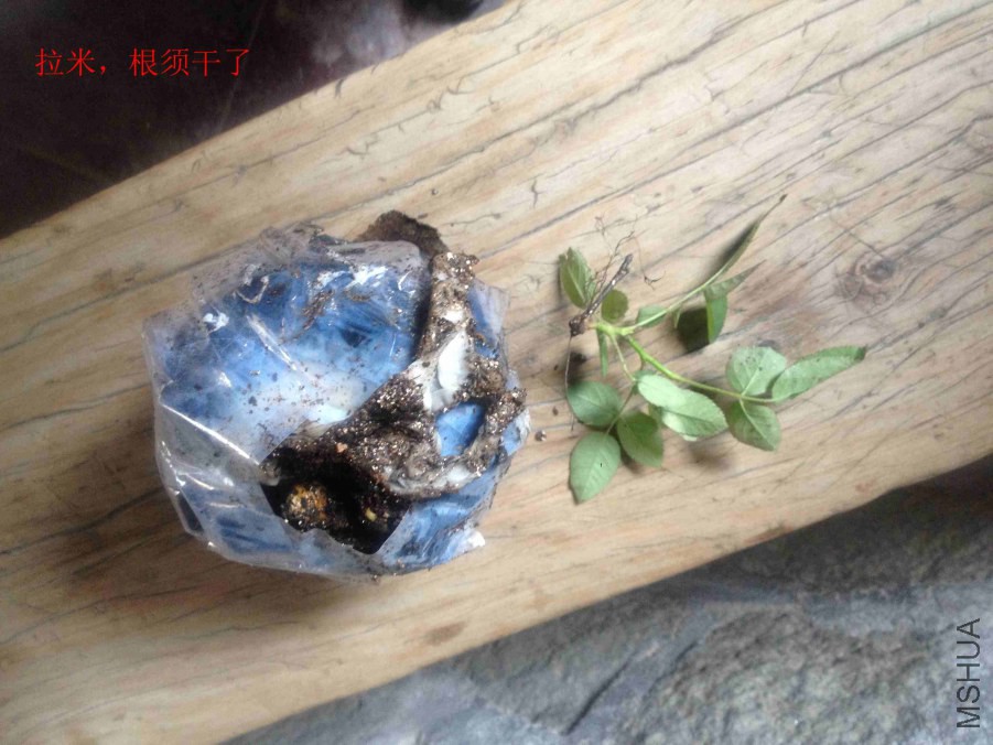 2014-10-07 124125.jpg