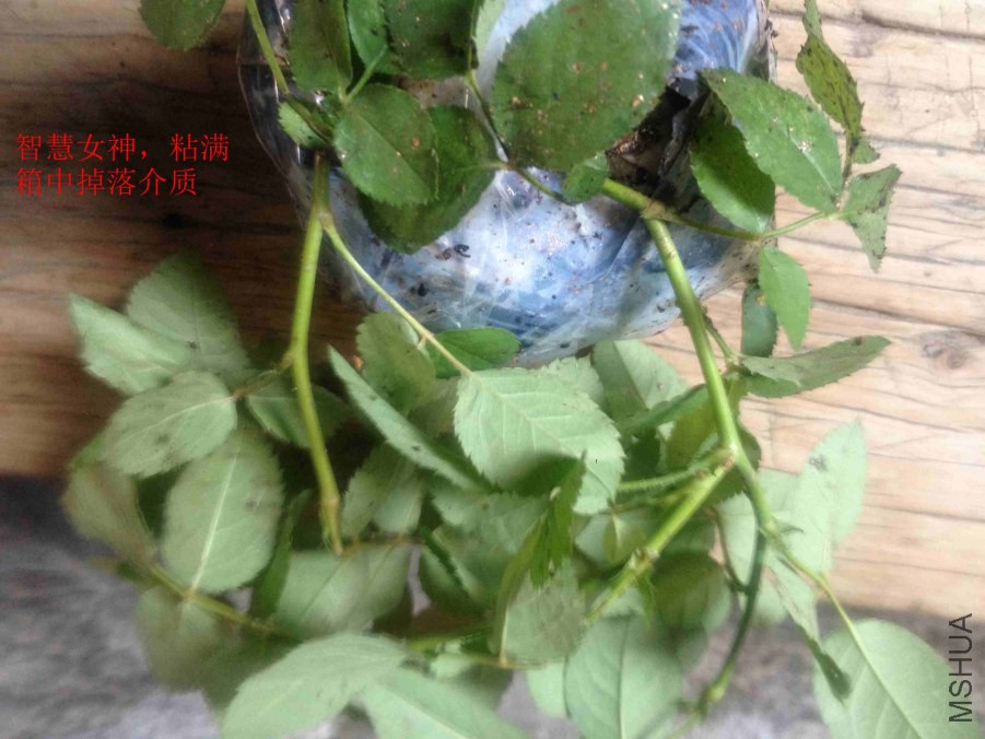 2014-10-07 124243.jpg