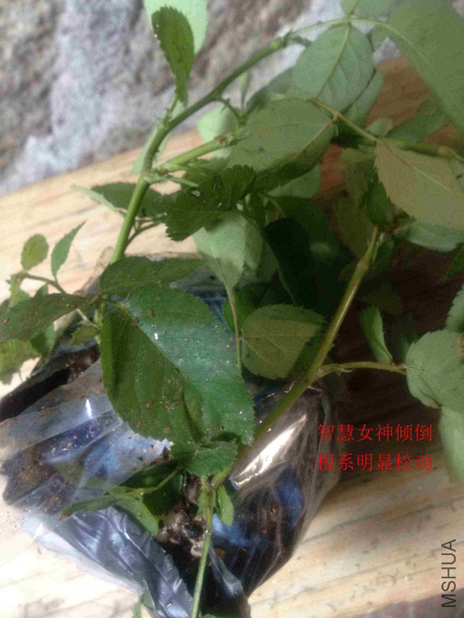 2014-10-07 124531.jpg