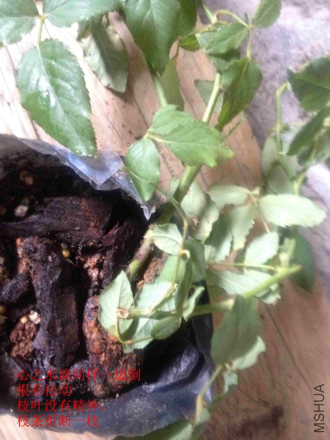 2014-10-07 125328.jpg