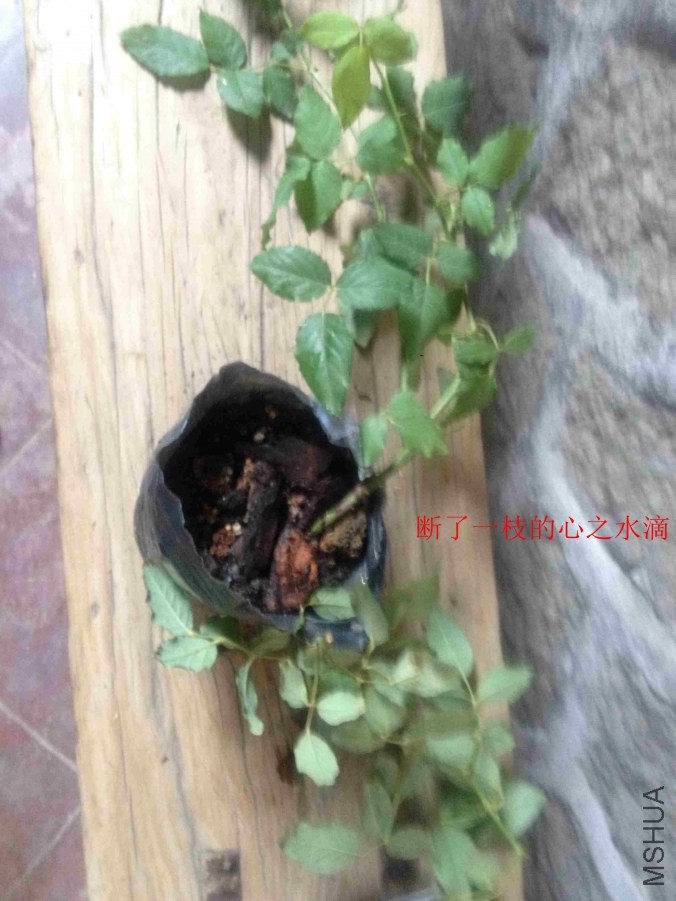 2014-10-07 125340.jpg