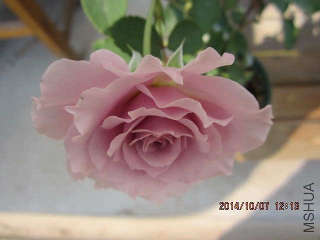 ʵ�ﻹҪ��һЩ