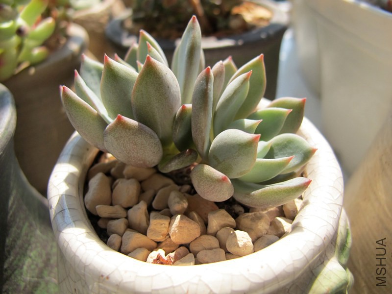 ������ 010.jpg