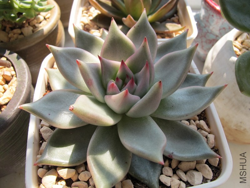 ������ 011.jpg