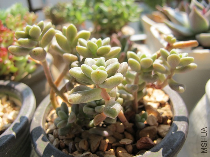 ������ 008.jpg