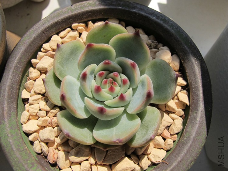 ������ 014.jpg