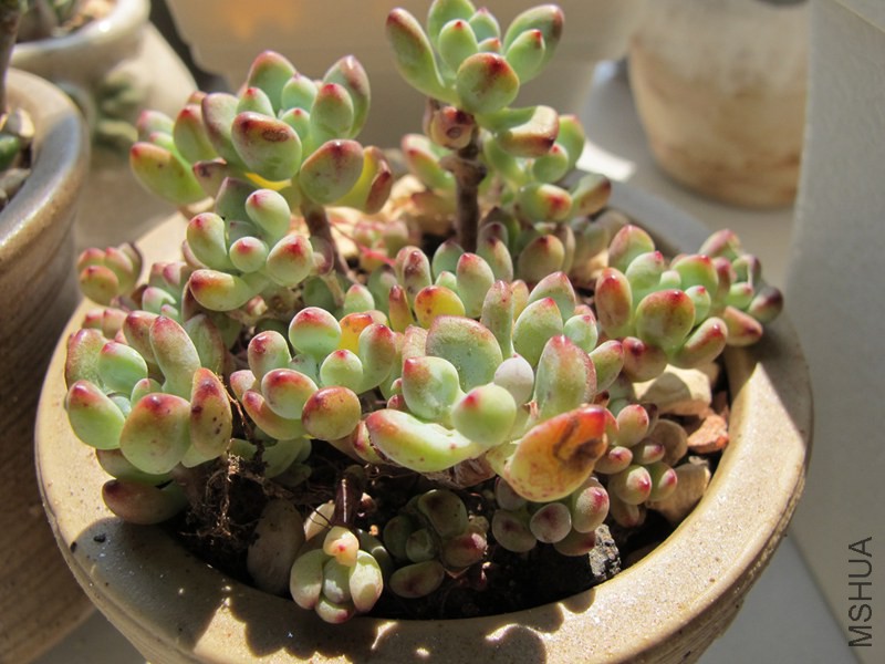 ������ 015.jpg