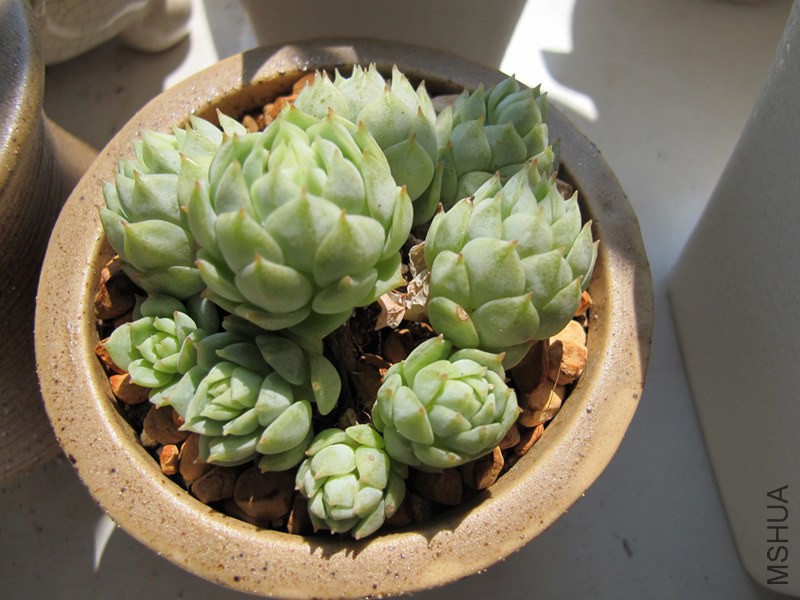 ������ 016.jpg