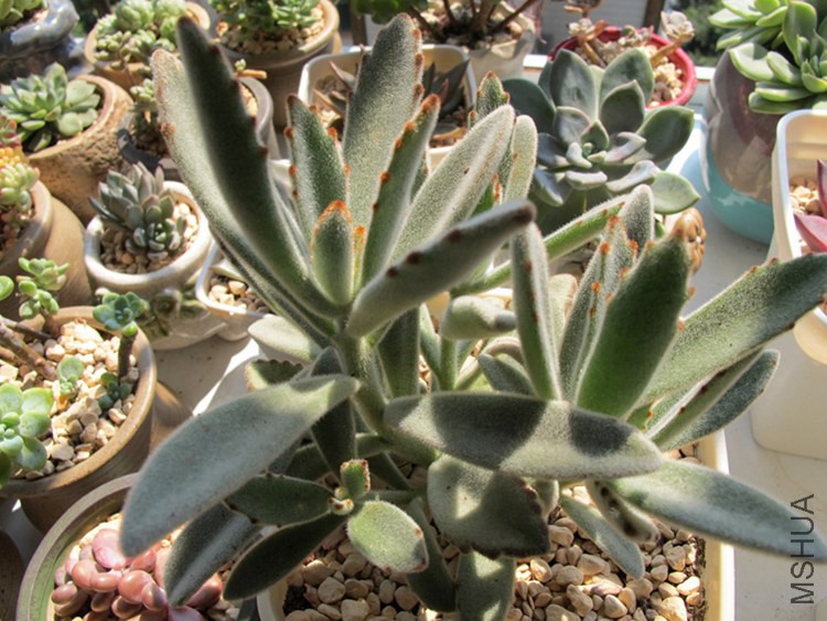 ������ 024.jpg