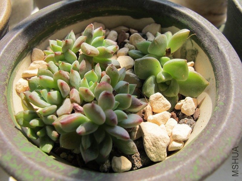 ������ 025.jpg