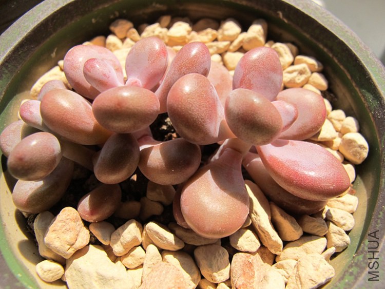 ������ 022.jpg