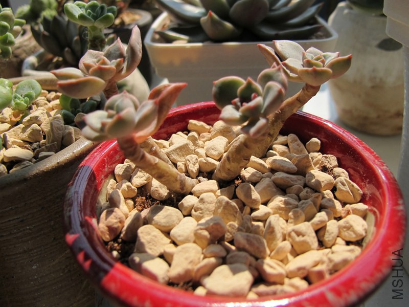 ������ 021.jpg