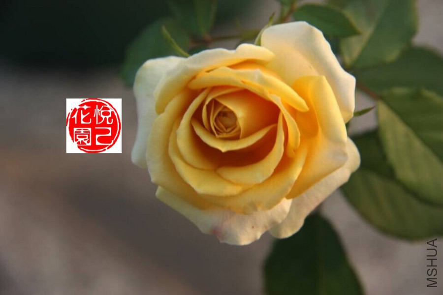 QQͼƬ20141007150030.jpg