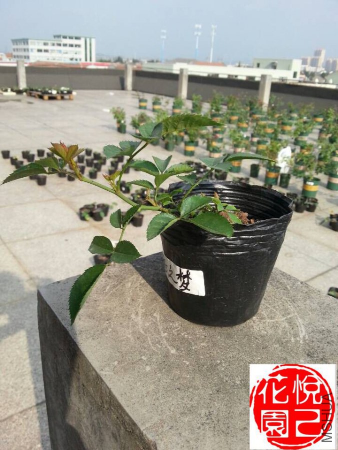 QQͼƬ20141007150020.jpg