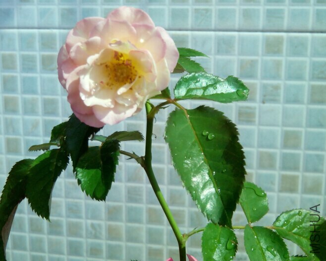 QQͼƬ20141007160607.jpg